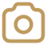 Selection Icon