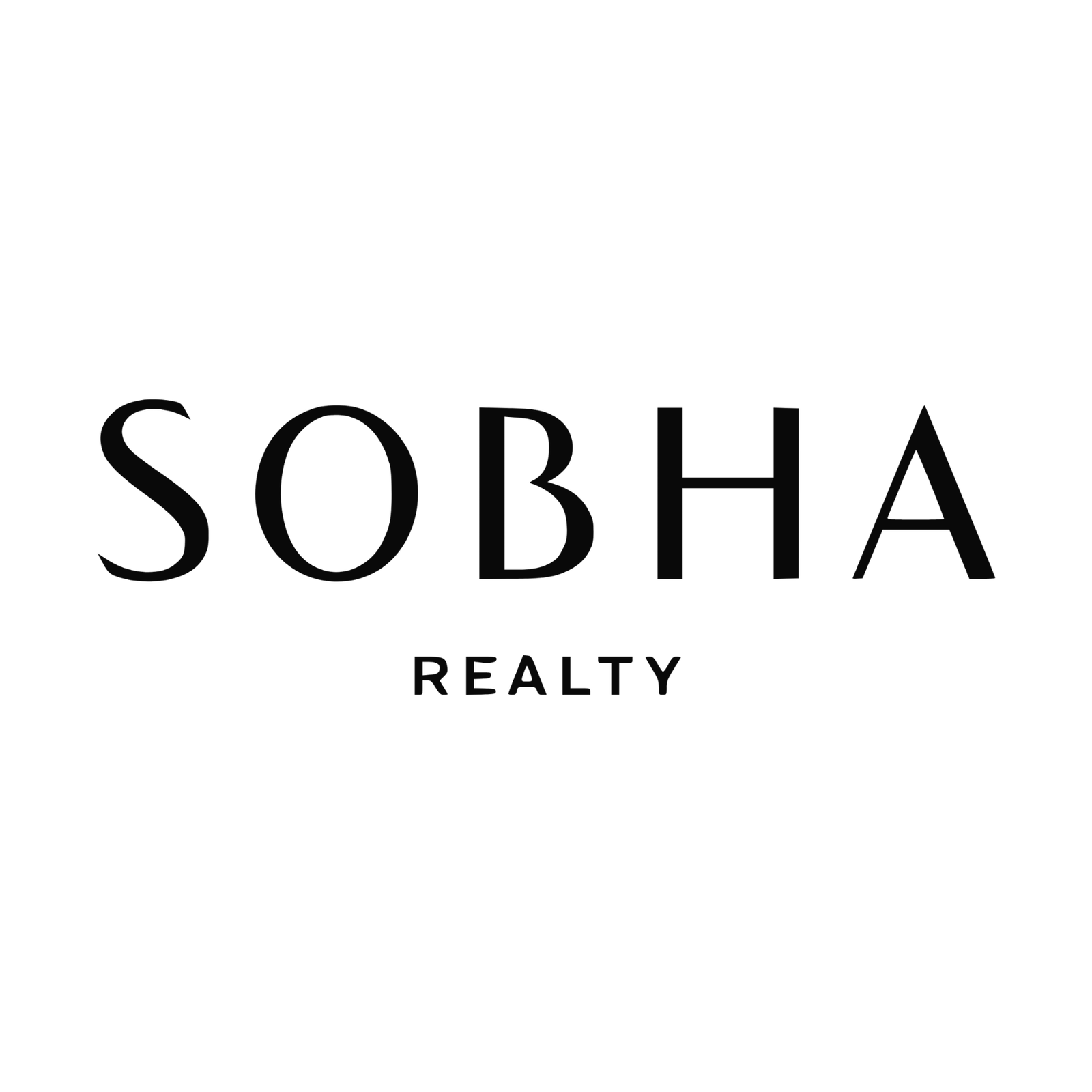 Developer logo