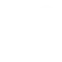 Reporting Icon