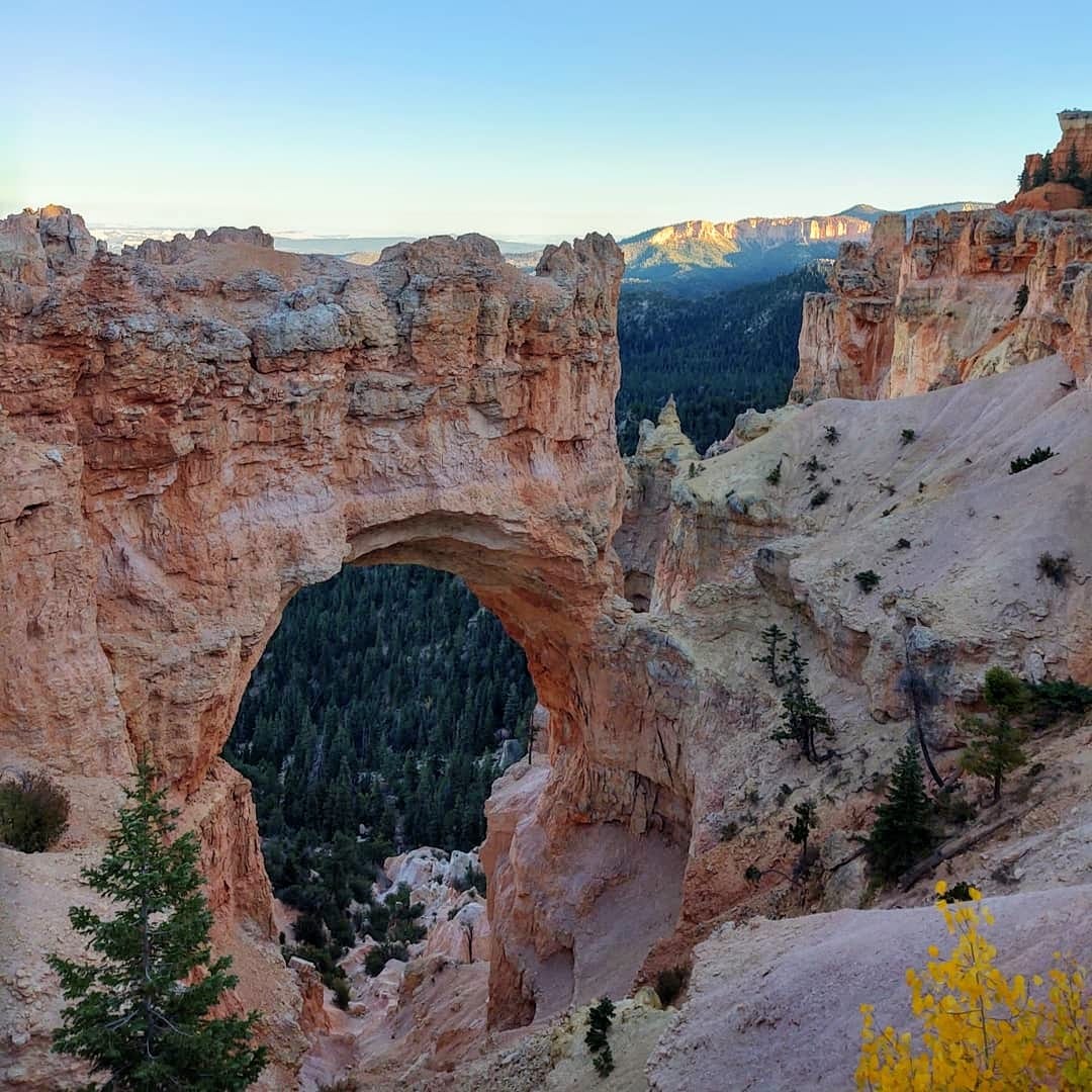 IMG 20201001 220558 5963