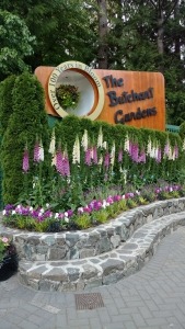 IMG_20180528_154032328