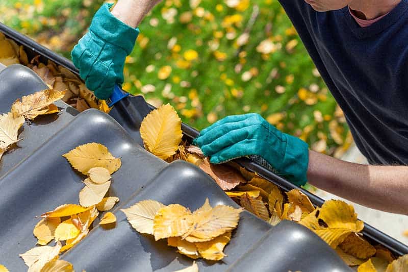 gutter cleaning lawn maintenance
