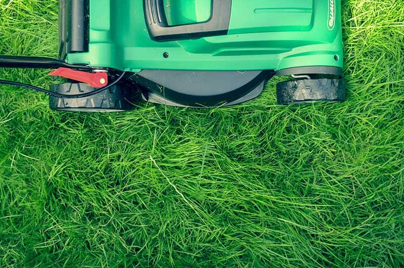 lawn maintenance lawn care services