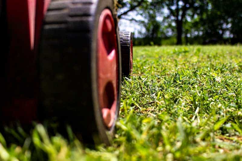 lawn care property services