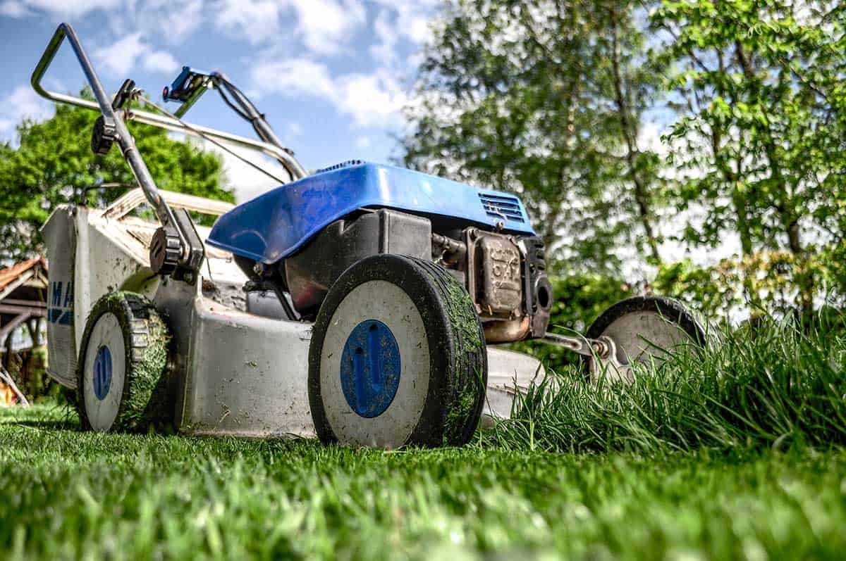 lawn mowing lawn maintenance