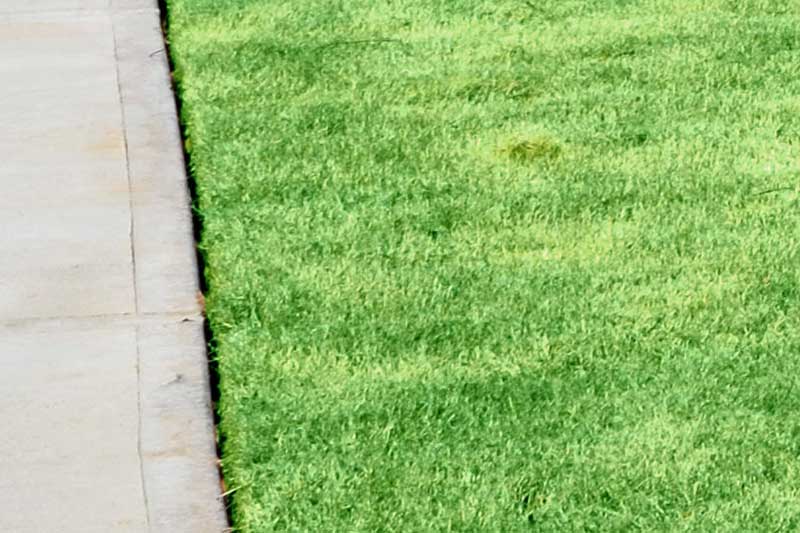 lawn edging lawn maintenance
