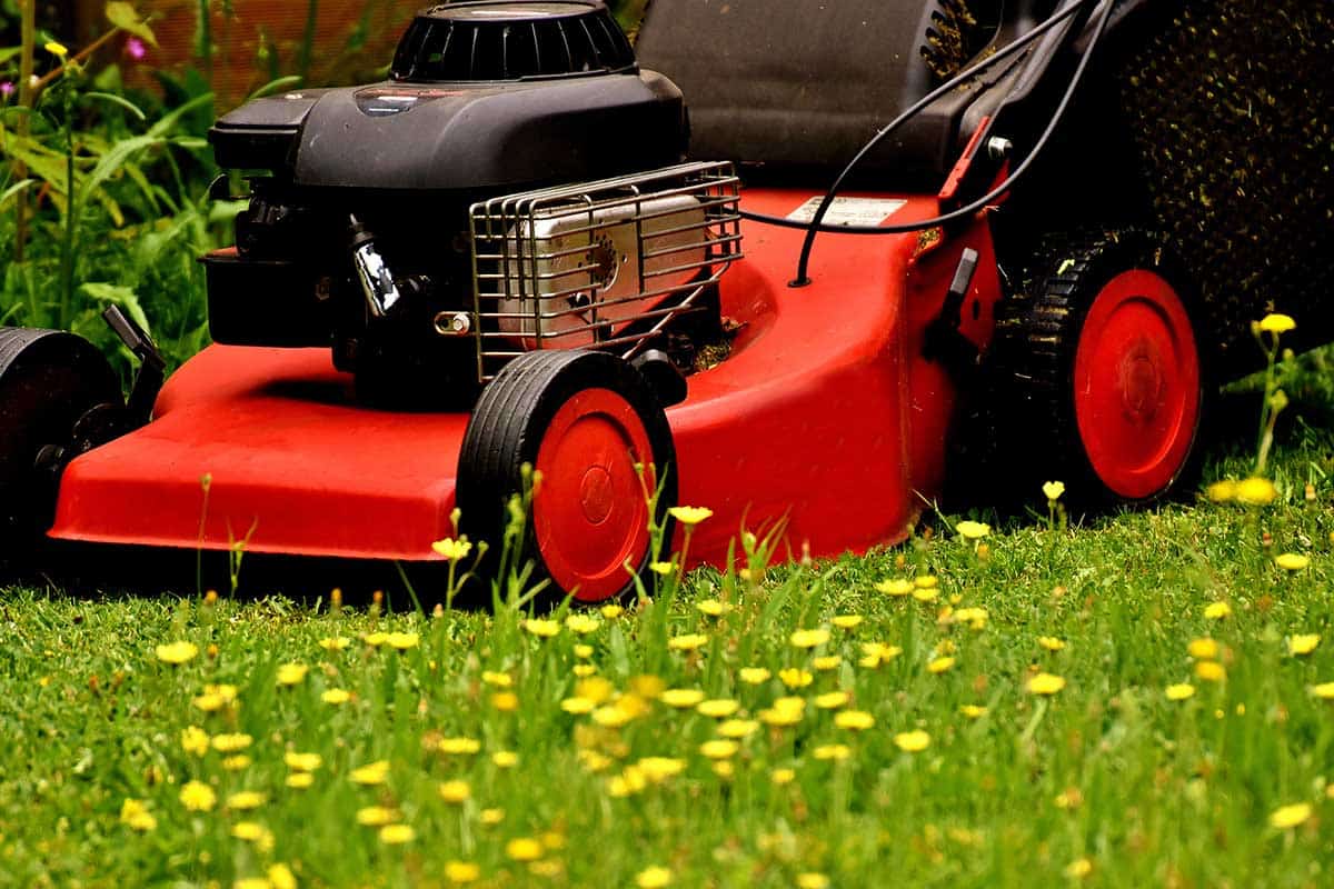 spring cleaning lawn maintenance