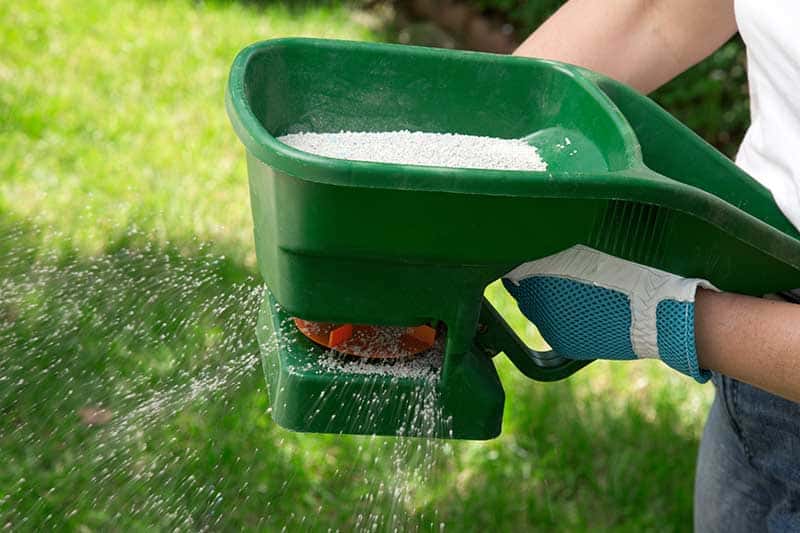 lawn fertilizing lawn care