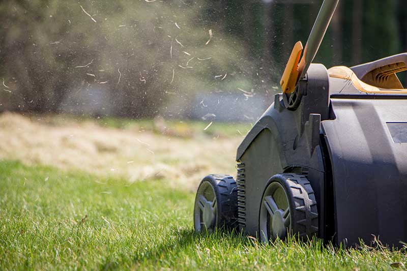 lawn aeration lawn care
