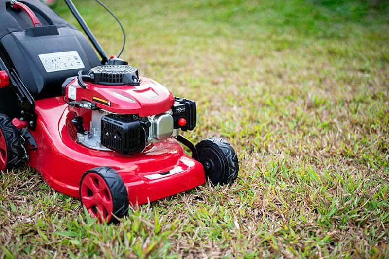 lawn repair lawn care