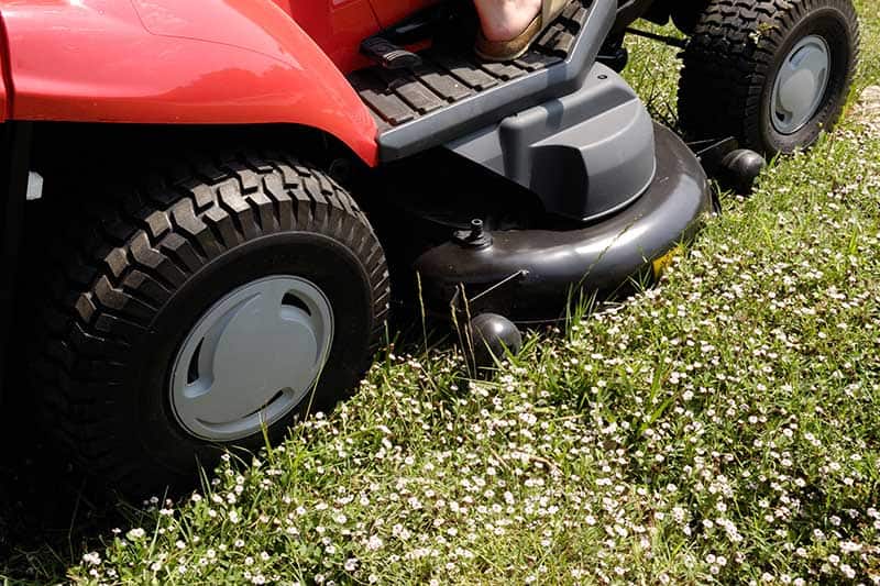 lawn weeding lawn care