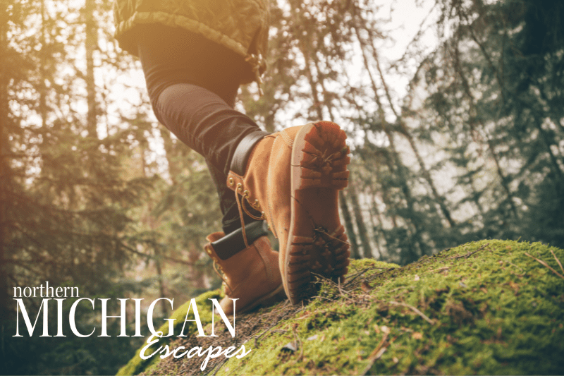 picture of a hiker