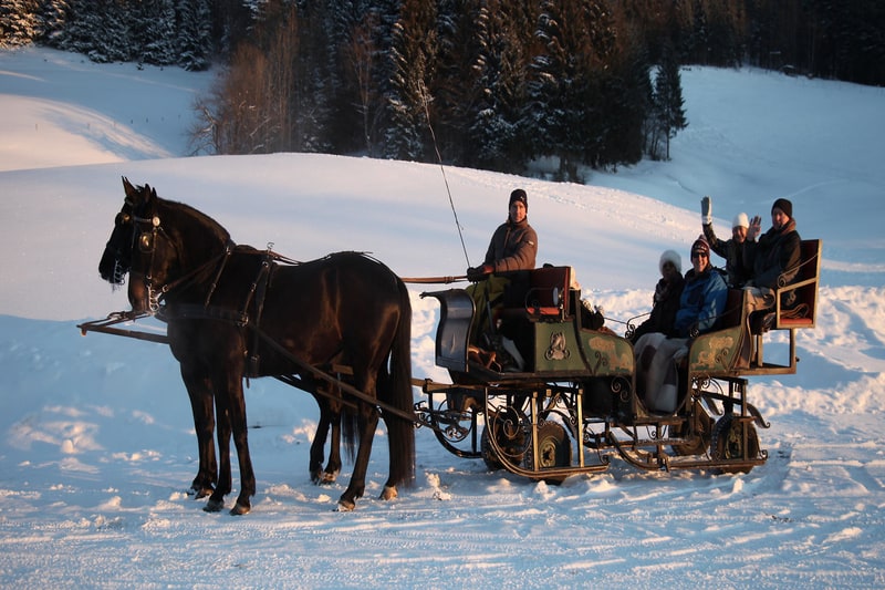 this is a picture of a sleigh ride