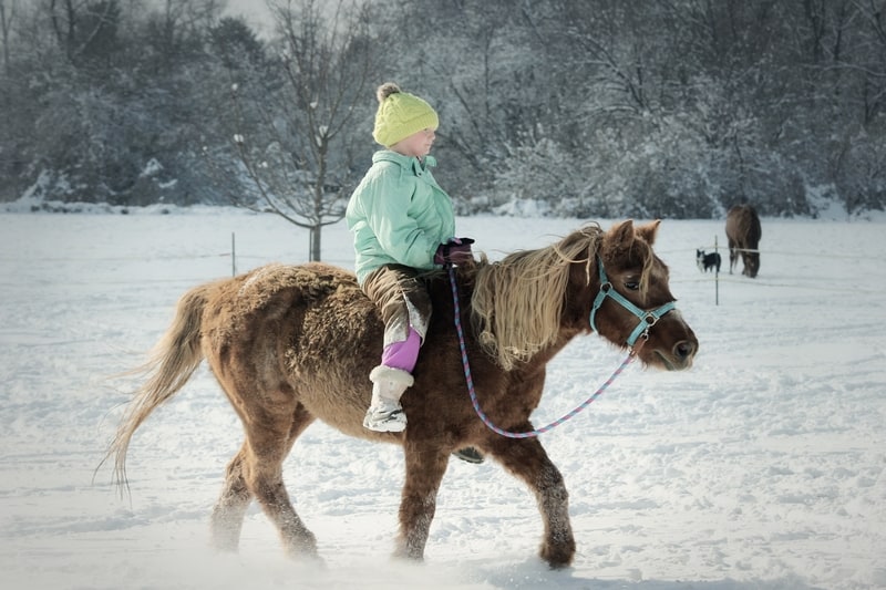 picture of a girl horseback riding