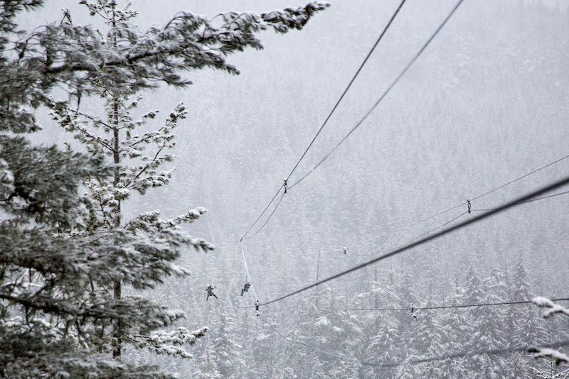 picture of a zipline