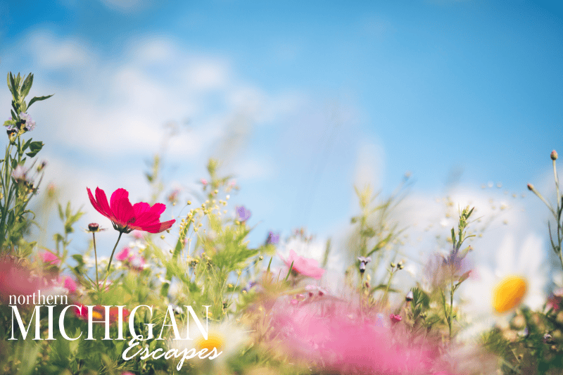 northern-michigan-spring-vacations