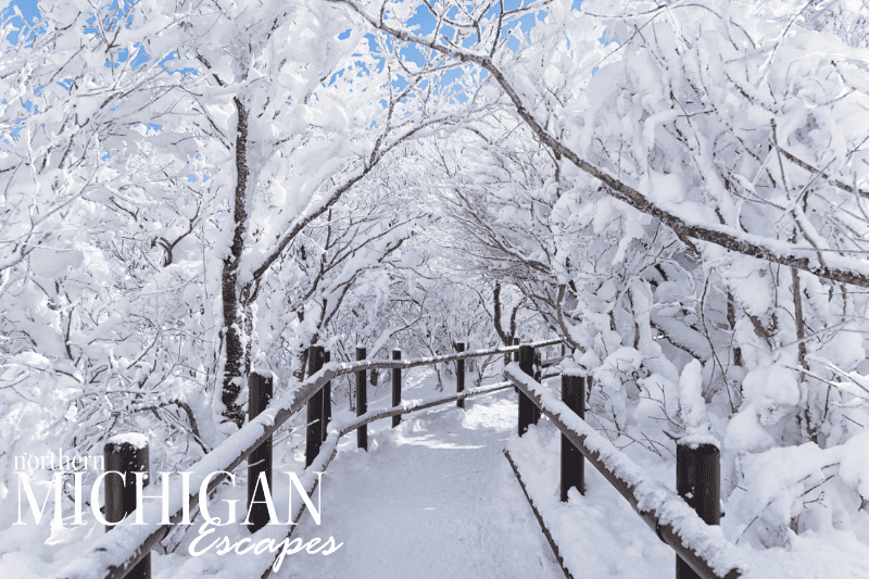 northern-michigan-winter-vacations