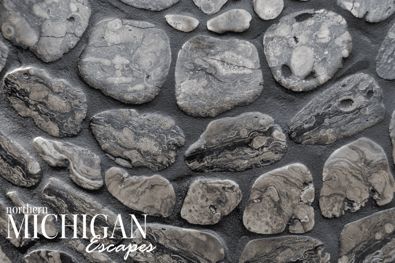 petoskey stone