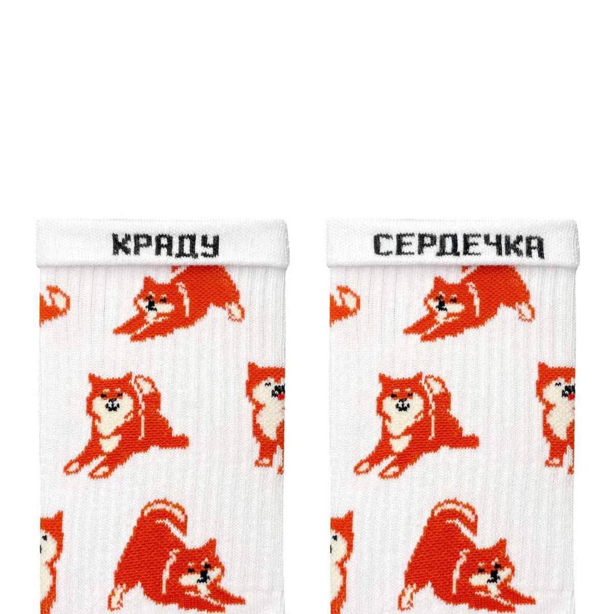 Шіба-іну шкарпетки NOSKAR