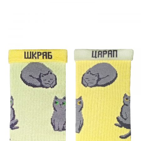 Британський кіт