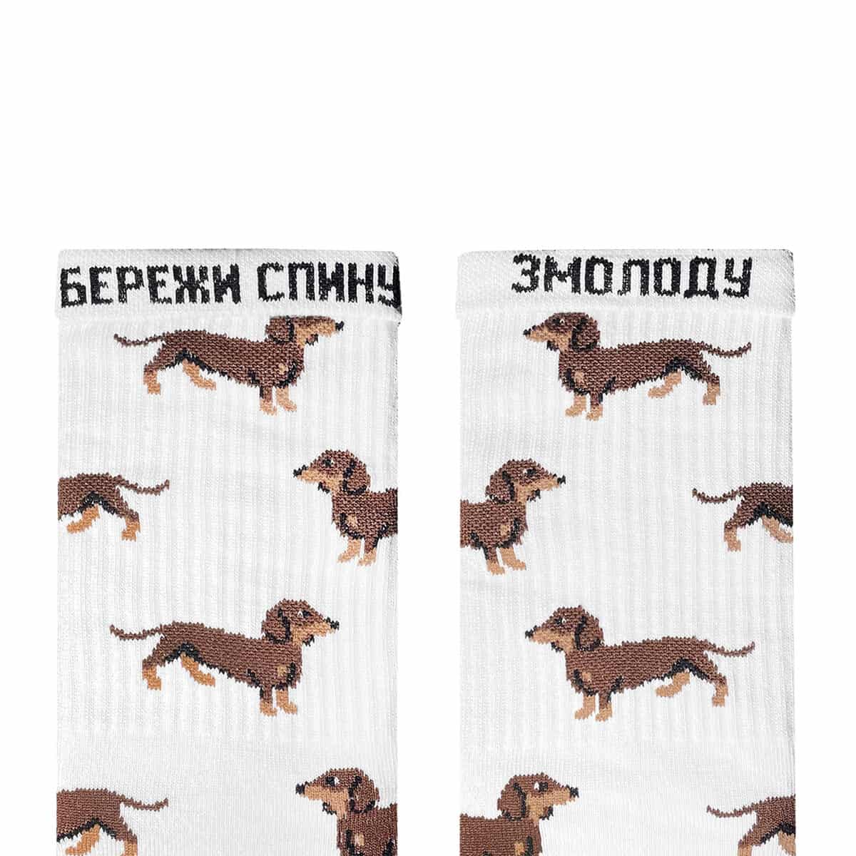 Такса шкарпетки NOSKAR
