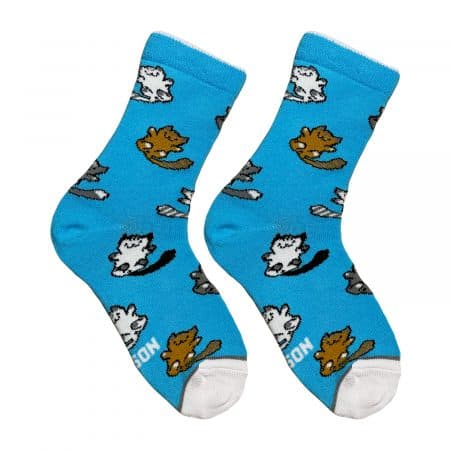 Дитячі “Kitten” шкарпетки NOSKAR