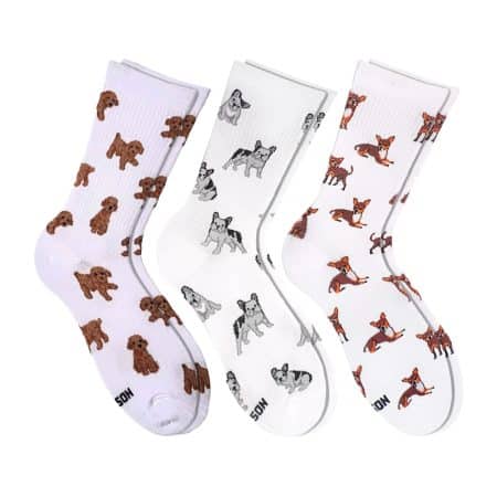 Подарунок “Песиковий” шкарпетки NOSKAR