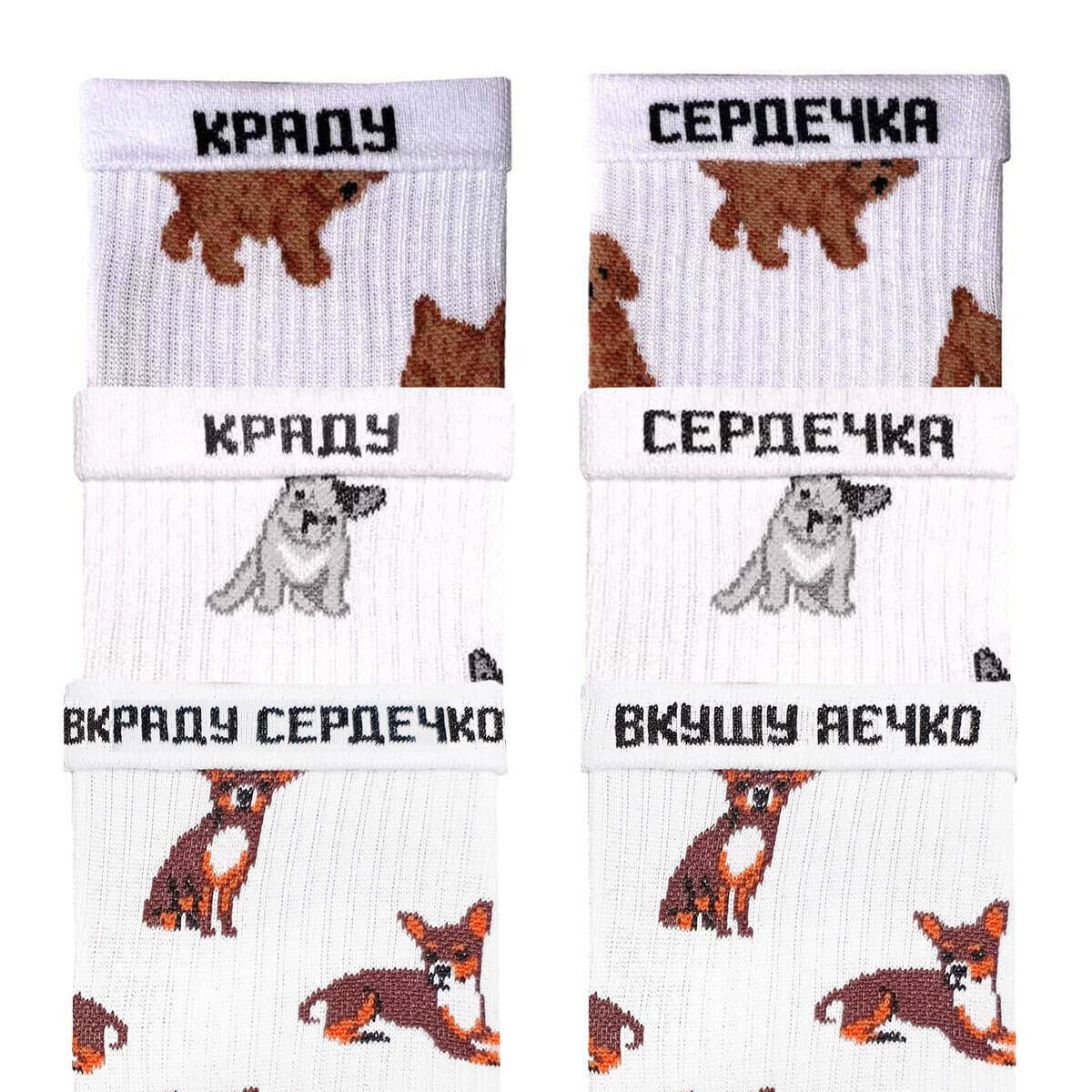 Подарунок “Песиковий” шкарпетки NOSKAR