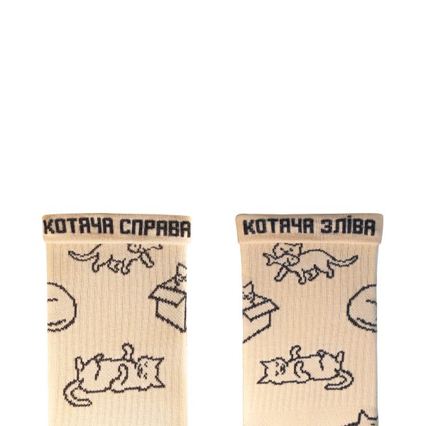 Котячі справи