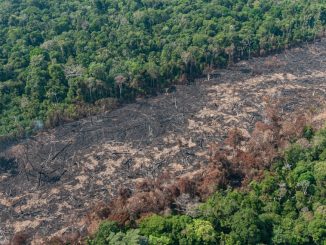 Desmate na floresta amazônica causado pelo desmatamento ilegal, com áreas afetadas por incêndios e queimadas.