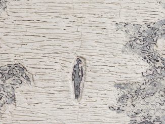 Madeira bruta pintada de branco com manchas de papel de parede removido, revelando camadas antigas de pintura e papel, representando conservação e tratamento de superfícies em projetos ambientais e de sustentabilidade.