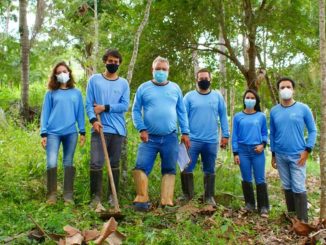 Ambiental mercantil equipe em trabalho de reflorestamento na floresta tropical com ferramentas de jardinagem e usando máscaras de proteção, promovendo preservação ambiental e sustentabilidade no Brasil.