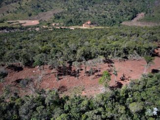 Desmatamento na Amazônia, indicando a destruição de florestas para atividades humanas, impacto na biodiversidade e mudanças climáticas.