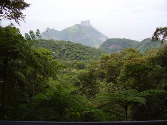 Paisagem exuberante de floresta tropical com montanhas ao fundo, destacando a biodiversidade e a importância da conservação ambiental na região.