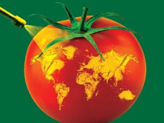 Atlas dos agrotóxicos, mapa mundial sobre o uso de agrotóxicos na agricultura, com destaque para riscos ambientais e de saúde, destaque da publicação Ambiental Mercantil.