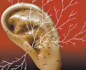 Cenário de uma orelha com raízes e conexões eletrônicas, simbolizando tecnologia e saúde auditiva.