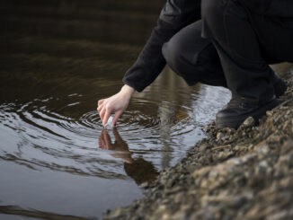 Árvore, água, preservação, meio ambiente, conservação ambiental, sustentabilidade, ecologia, cuidado ambiental, impacto ambiental, água limpa, natureza, proteção ambiental, ambientalismo, risco ecológico, respeito à natureza.