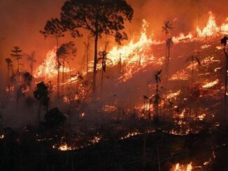 Incêndio florestal devastando uma área de floresta tropical, com árvores queimando e fumaça densa elevando-se ao céu, representando os riscos ambientais e a urgência em ações de preservação ambiental.