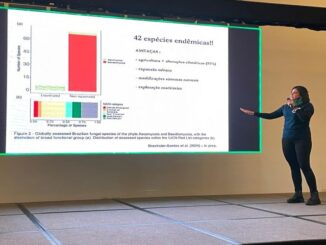 Fungos endêmicos, biodiversidade, conservação, estudo de espécies, ambientalmercantil, apresentação de pesquisa, preservação da natureza, espécies ameaçadas, ecologia, sustentabilidade.