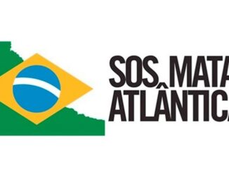 Brasil, mapa e bandeira, manifesto ambiental contra desmatamento na Mata Atlântica, campanha SOS Mata Atlântica.