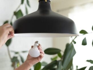 Lâmpada de economia de energia sendo instalada sob luminária moderna em ambiente interno com plantas.