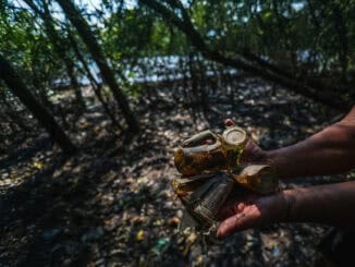 Lixo plástico e latas descartados na floresta tropical, evidenciando problemas ambientais e a importância da conservação e do manejo sustentável de resíduos.
