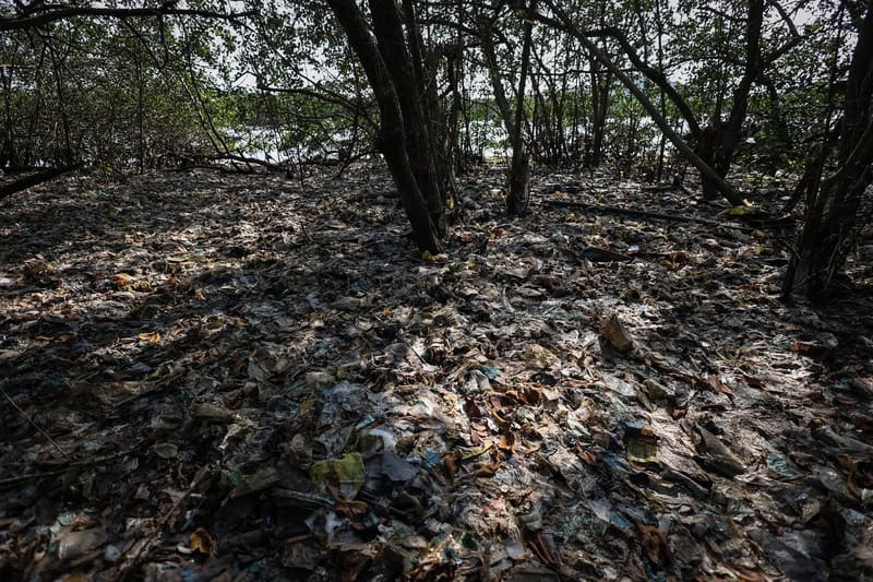 Poluição do solo com lixo e resíduos perigosos em floresta degradada, impacto ambiental causado por descarte irregular de resíduos sólidos na natureza.