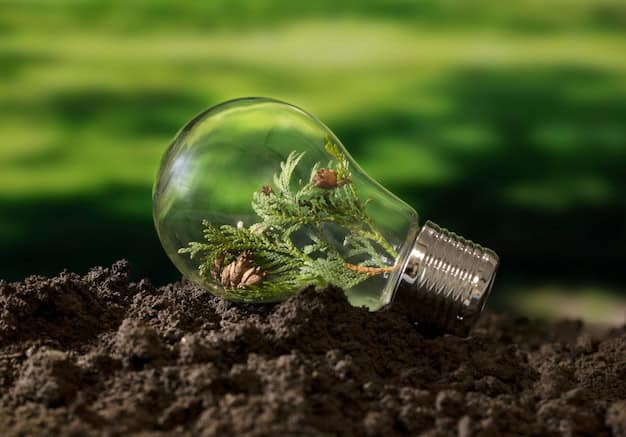 Lâmpada de vidro com planta e terra, simbolizando energia sustentável e meio ambiente.
