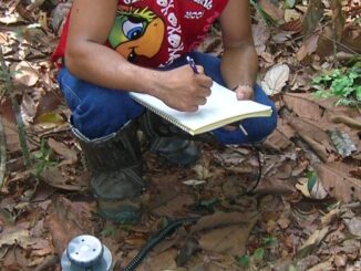 Sono ambiental, coleta de dados em floresta tropical, técnico de meio ambiente com equipamentos de medição para monitoramento ambiental, pesquisa ecológica, conservação da biodiversidade, ambiental mercantil.