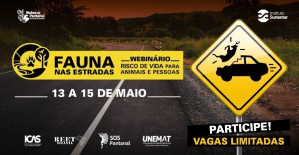 Avaliação de risco de vida para animais e pessoas em estradas durante o webinar sobre fauna nas estradas. Vagas limitadas, participe de 13 a 15 de maio na campanha de conscientização.