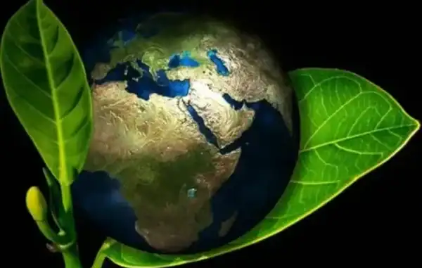 Terra com folhas verdes em destaque, simbolizando sustentabilidade e meio ambiente.