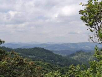 Paisagens de floresta tropical exuberante com vista para montanhas, promovendo conservação ambiental e sustentabilidade.