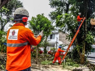 Caminhão sendo servido por equipe de resgate e poda de árvores por funcionários da Prefeitura de São Paulo; atuação em ações ambientais e de segurança urbana.