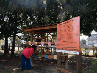 Abelha nativa em exibição ao ar livre com painel educativo sobre polinização e importância ecológica para conservação ambiental. Ambiente natural com árvores e espaço ao ar livre.